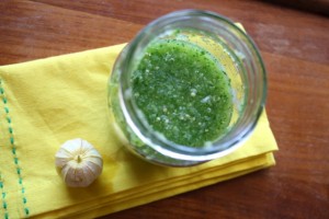 Green Tomatillo Salsa Recipe